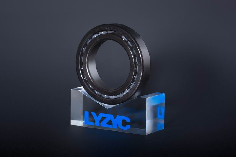 
              磁懸浮保護(hù)軸承
                          